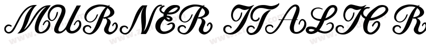 MURNER ITALIC Regula字体转换